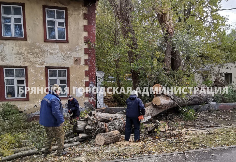 После урагана в Брянске горожане сообщили о 90 случаях падений деревьев и обрывов проводов