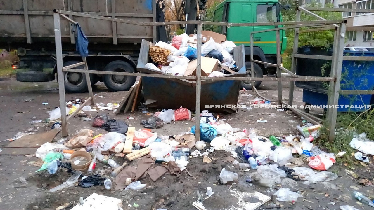 Брянцы пожаловались на утонувшие в мусоре контейнерные площадки на улице Крахмалева
