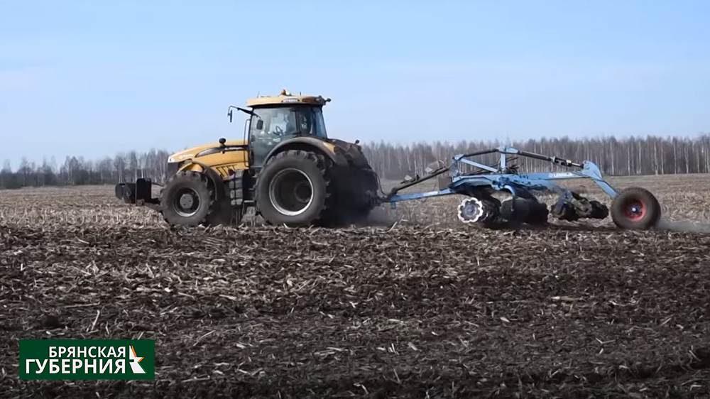 В хозяйствах Климовского района убирают картофель и кукурузу на зерно