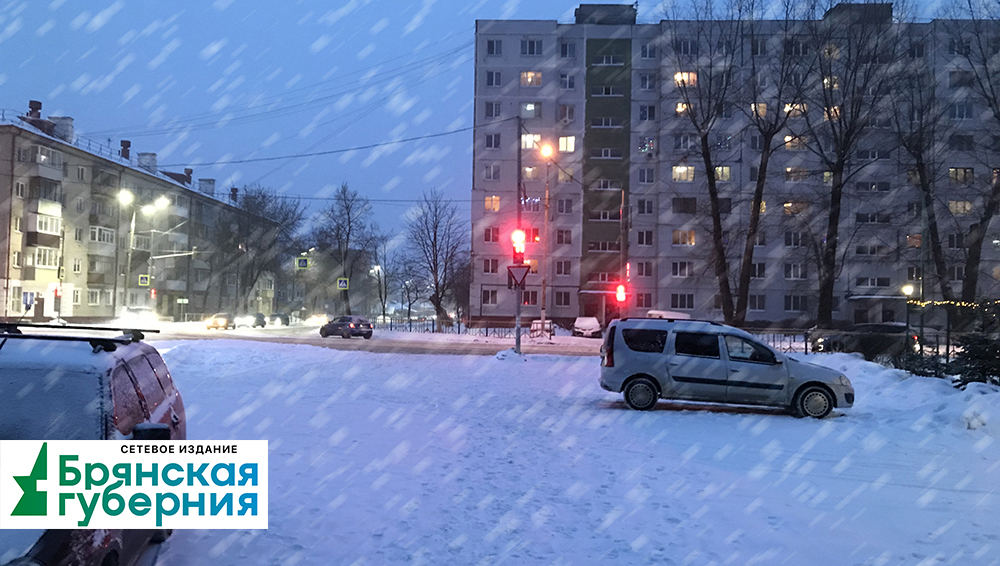 В Брянской области ожидается метель, гололедица и налипание мокрого снега