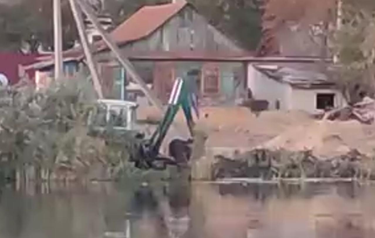 Новозыбковские чиновники допустили самовольную расчистку берега озера в райцентре