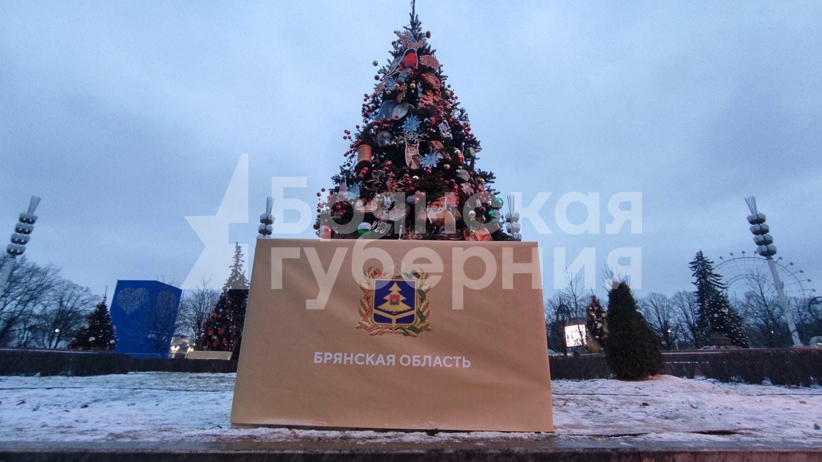 В Москве на выставке «Россия» нарядилась к празднику брянская новогодняя ель