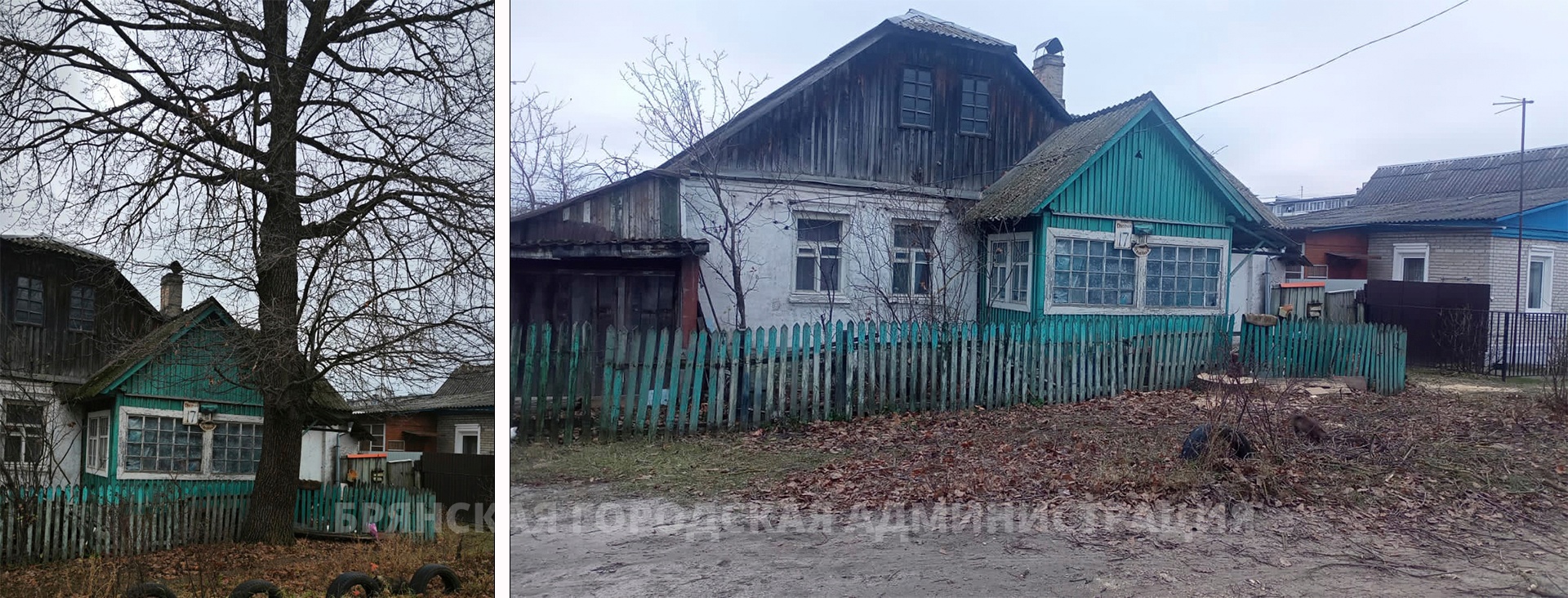 В Брянске после жалобы вице-мэру Антошину срубили опасный 18-метровый дуб на улице Северной