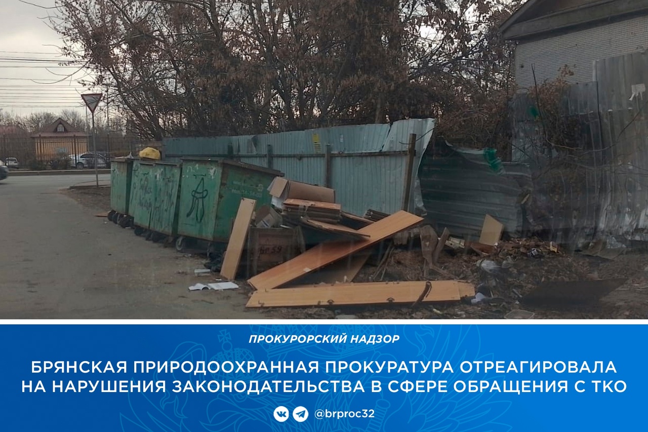 В Брянске 23 управляющие компании допустили свалки на контейнерных площадках