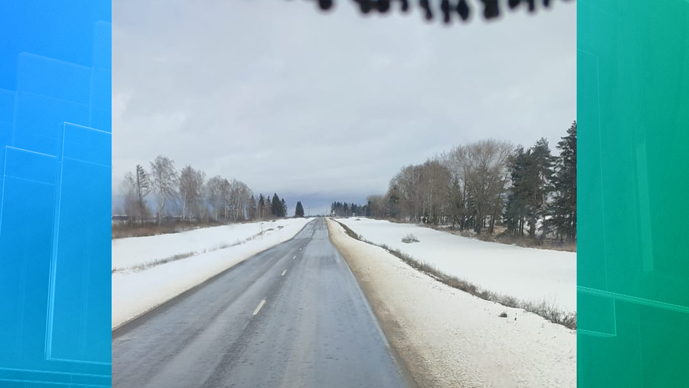 За минувшие сутки в Брянской области от снега очистили 3141 км дорог
