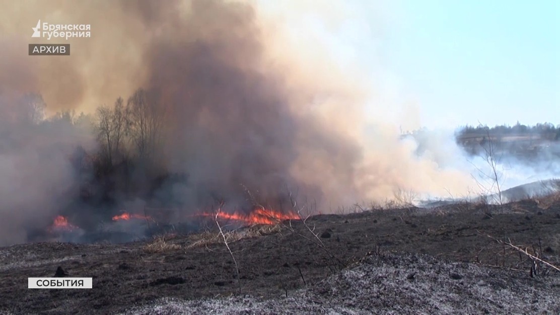 В Брянской области подвели итоги пожароопасного и купального сезонов