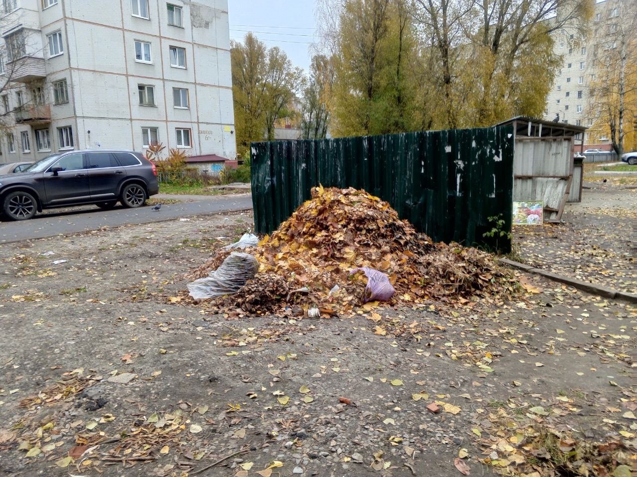 Оператора по обращению с ТКО наказали за листву возле мусорных площадок в Брянске