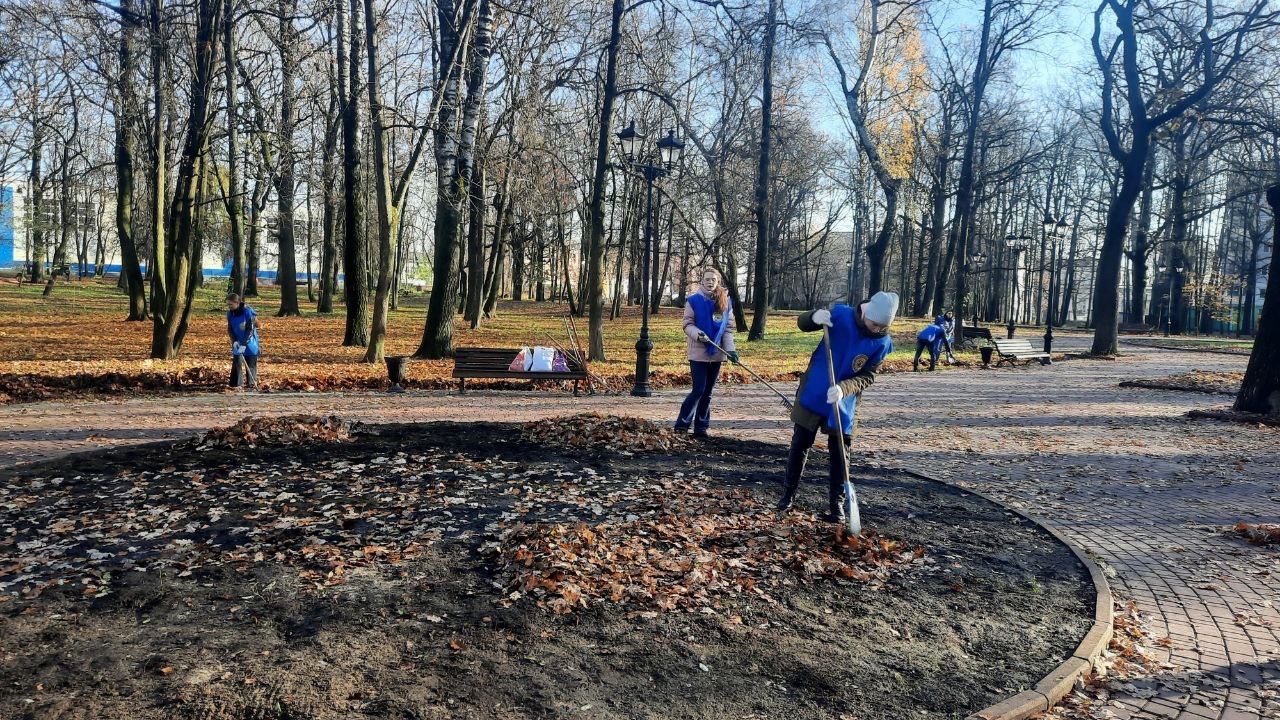 В Бежицком районе Брянска состоялась традиционная акция «Чистый парк!»