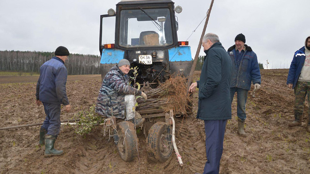 Глава администрации Стародубского округа проверил посадку яблоневого сада в селе Старые Халеевичи