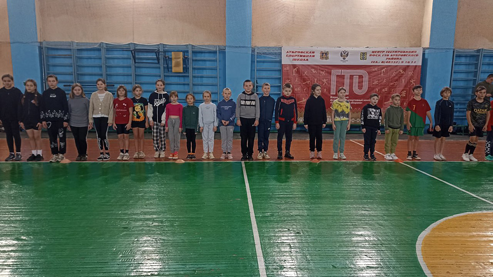 В Дубровке провели районный фестиваль «ГТО – Детям!»