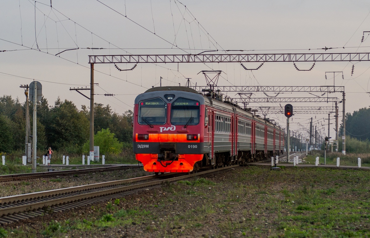 Дептранспорта: сокращение поездов на участке Брянск-Суземка не рассматривается