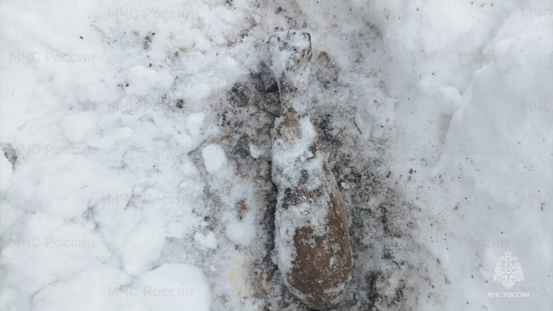 В брянском посёлке Мичуринский у жилого дома нашли мину