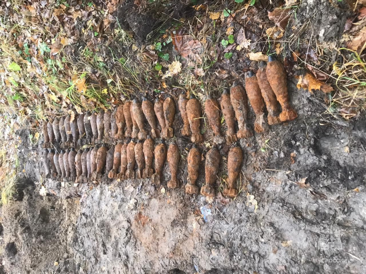 Сапёры обезвредили 50 миномётных мин в лесу под Брянском