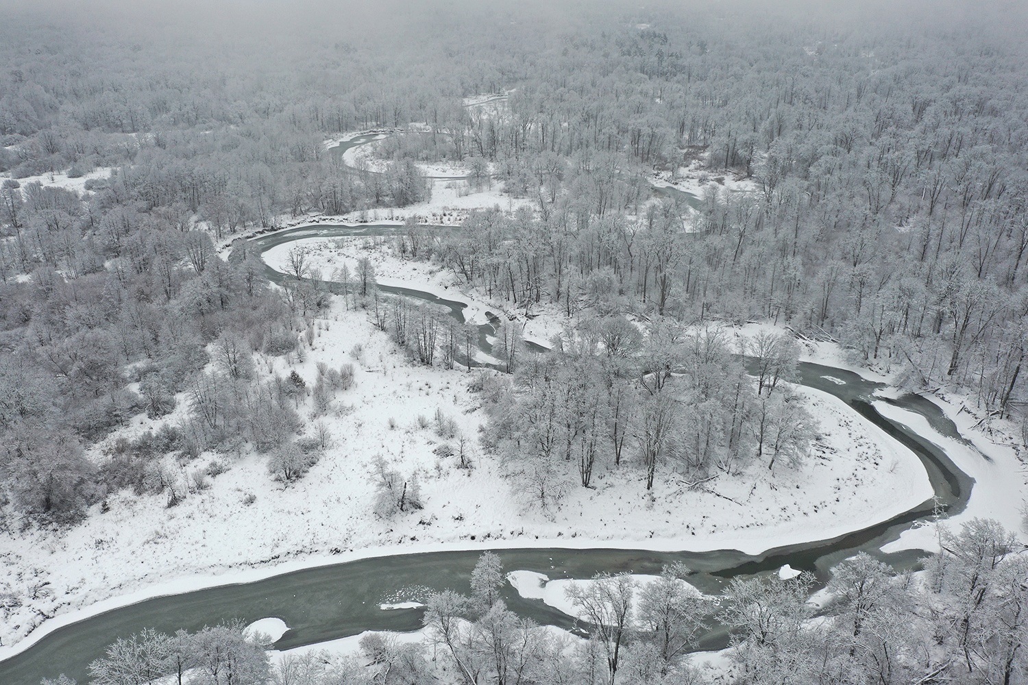 Зимняя сказка: натуралист Игорь Шпиленок поделился снежными фотографиями Брянского заповедника