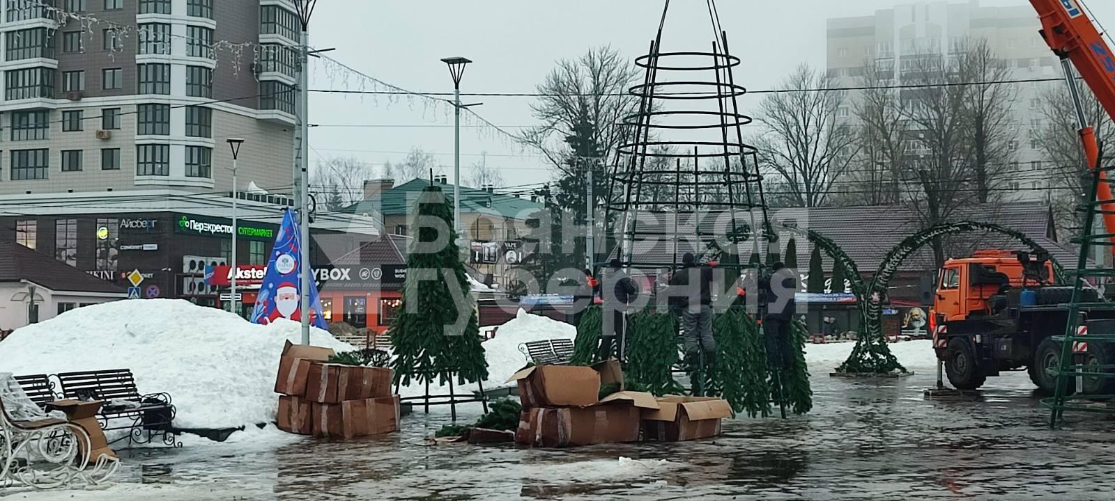 Ветки подвезли: в Брянске начался монтаж елки на площади Воинской славы