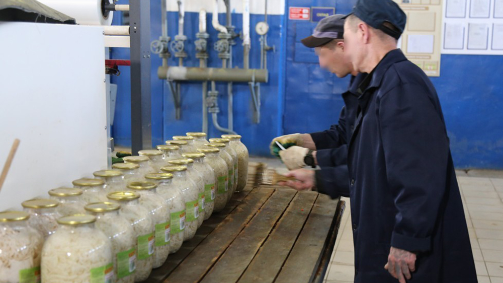 В колонии №3 выпустили консервированной продукции почти на 27 миллионов рублей