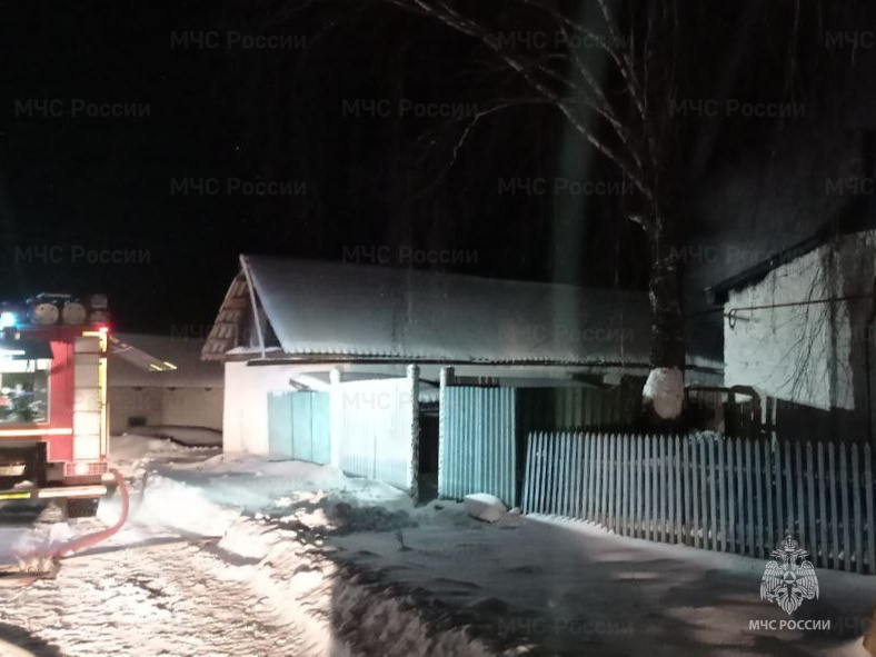 В брянском селе Пантусов три пожарных расчета быстро потушили горящий дом