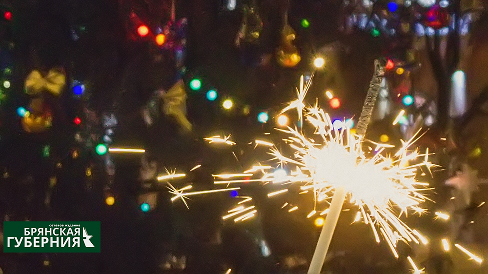 В преддверии Нового года жителям Брянска снова напомнили про запрет салютов и фейерверков