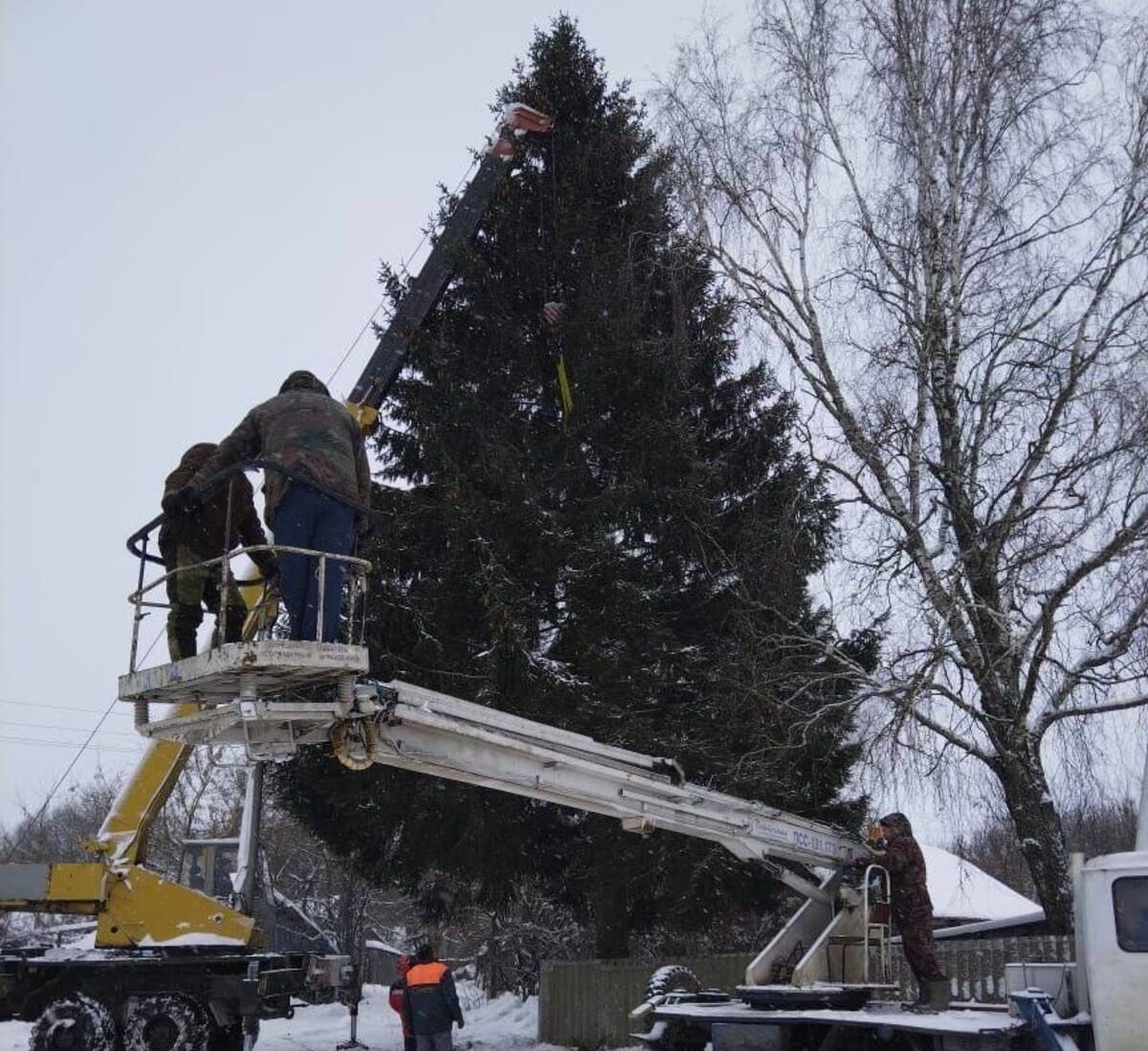 В Стародубе на площади установили 20-метровую новогоднюю ёлку
