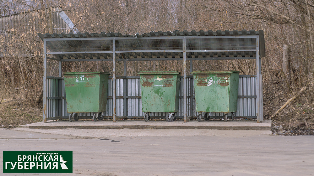 В Брянской области обнаружили неподписанные контейнеры для раздельного сбора мусора