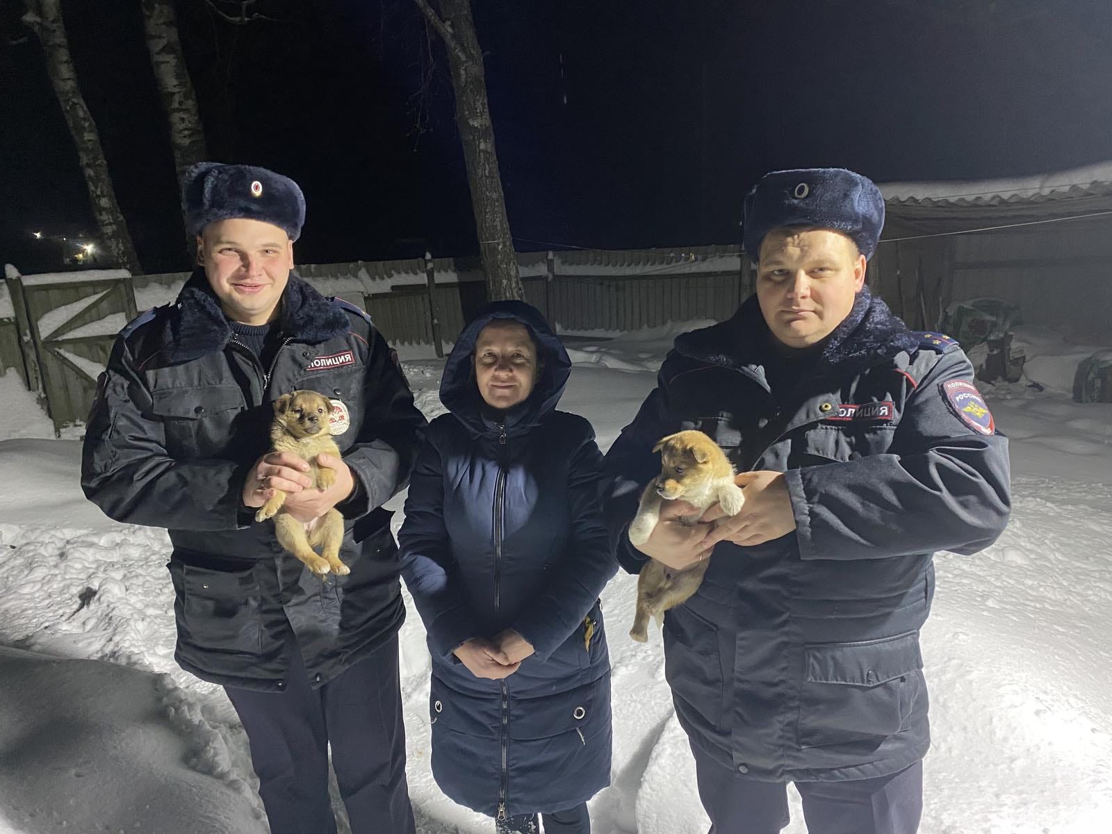 В Новозыбкове Брянской области полицейские спасли брошенных на морозе щенков