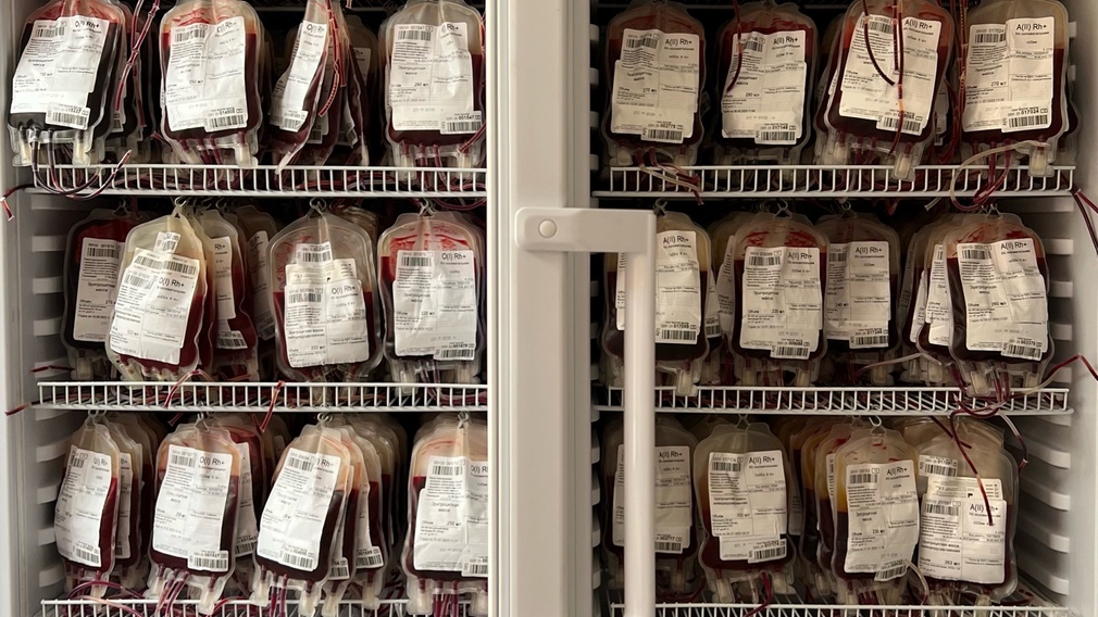 За неделю Брянскую станцию переливания крови посетил 421 донор