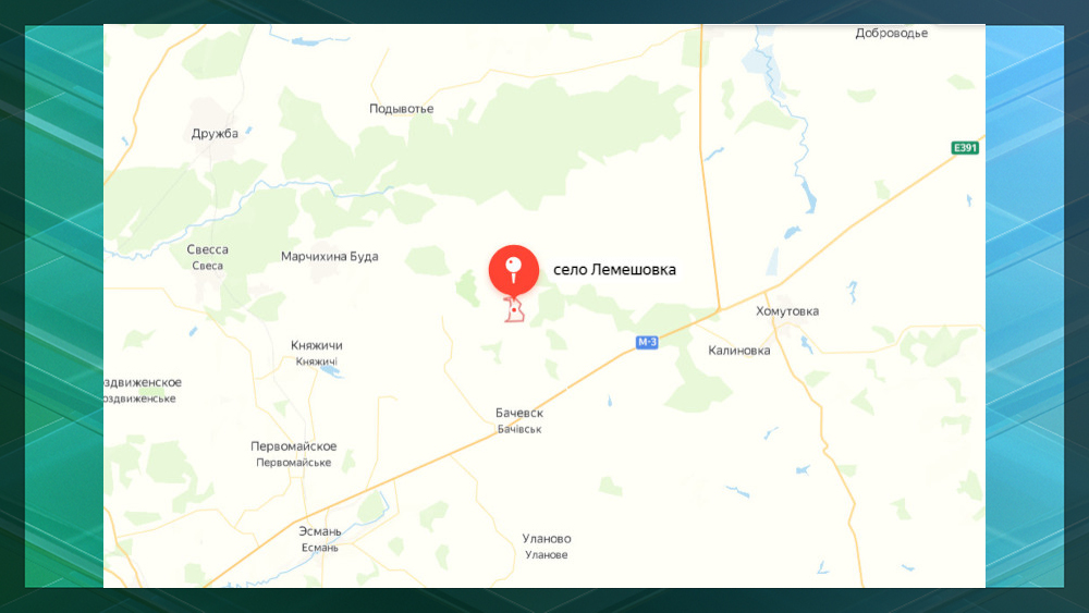 Украинские террористы обстреляли брянское село Лемешовка