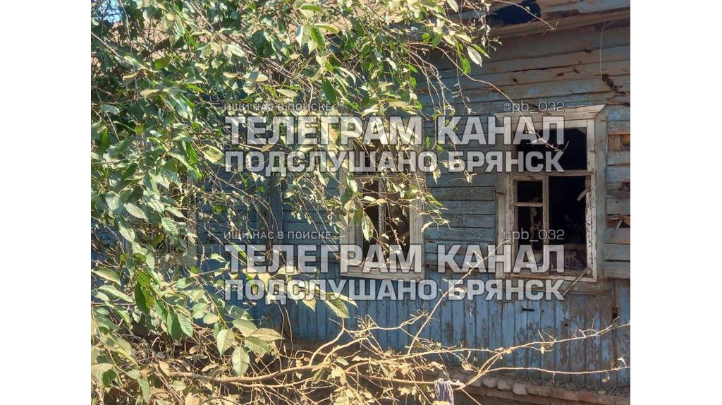 Жители брянского села Зёрново сообщили об обстреле ВСУ