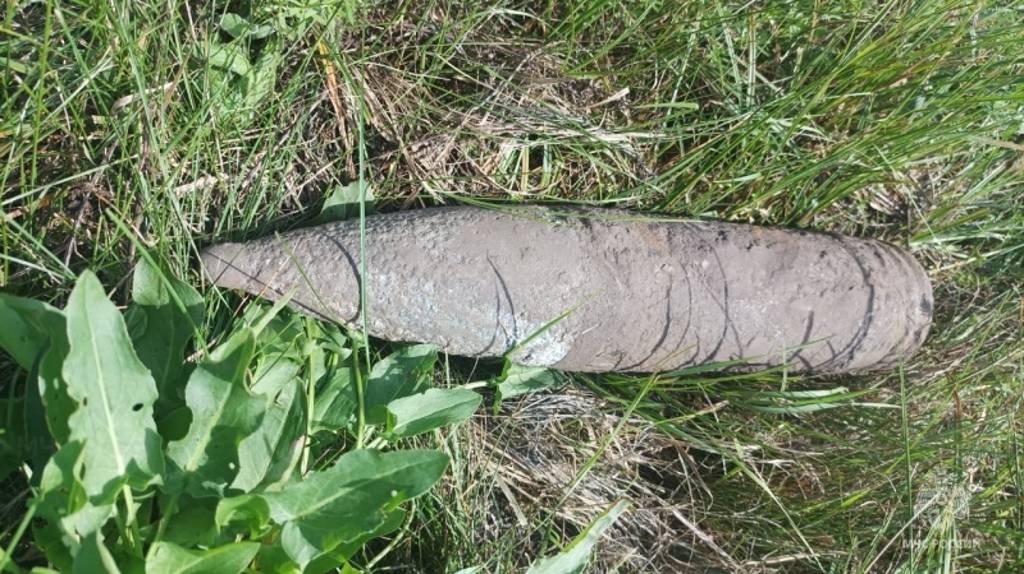 В лесу в Брасовском районе нашли артиллерийский снаряд