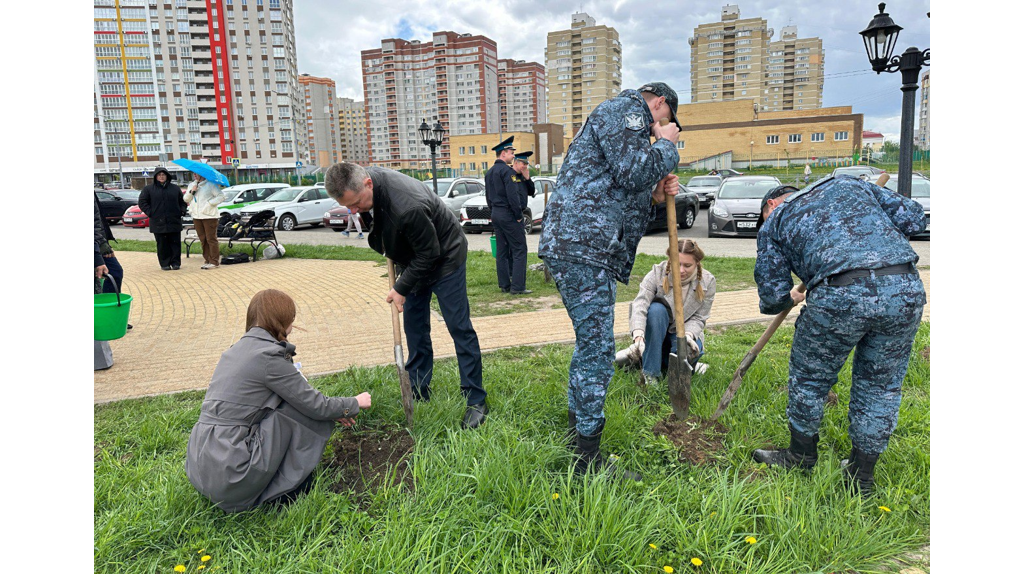 В Брянске у Центра образования «Перспектива» высадили 90 саженцев растений