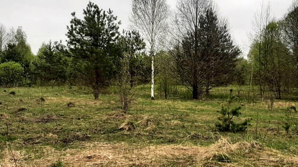 В Брянской области выявили 346 нарушений земельного законодательства