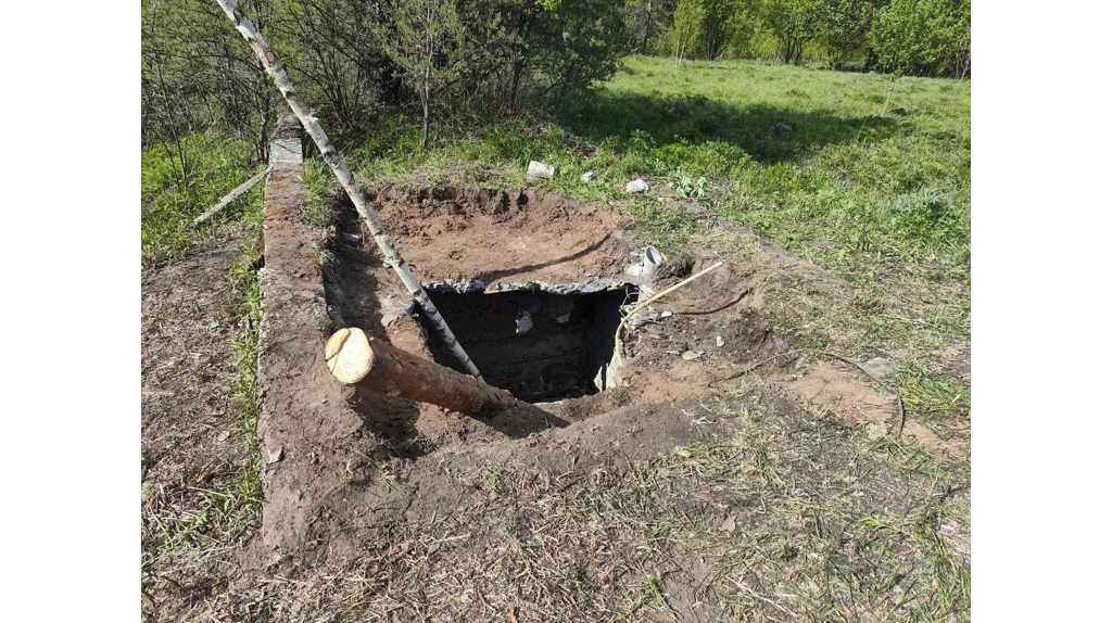 Брянские спасатели вызволили лошадь из бетонного подвала