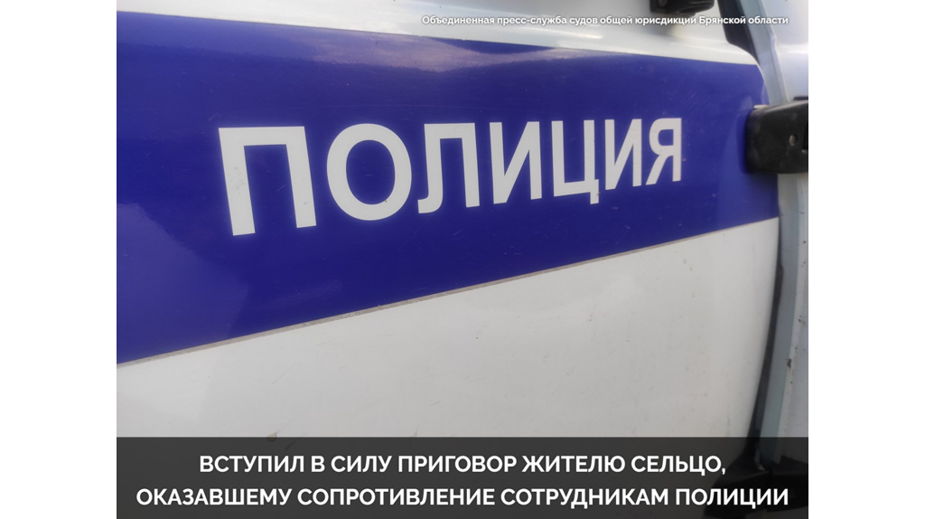 В Сельцо пьяный мужчина сбежал из скорой и дал отпор бросившимся за ним полицейским