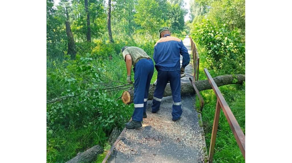 В брянском посёлке Климово оперативно устраняют последствия урагана