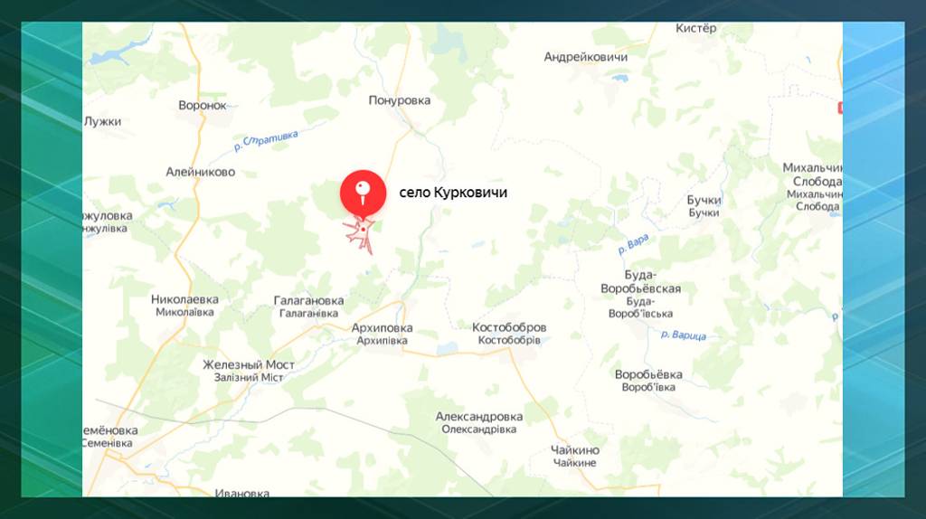 От обстрела ВСУ в брянском селе Курковичи пострадали 4 жилых дома