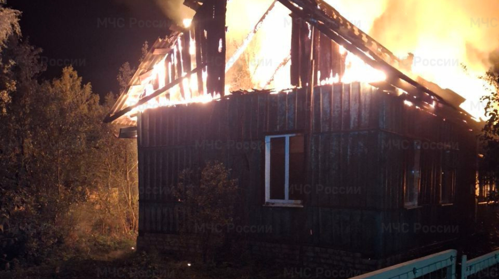 Огнеборцы Брянщины за день ликвидировали 10 возгораний