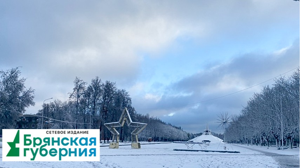 В Брянской области 6 февраля ночью пройдет снег, днем без осадков