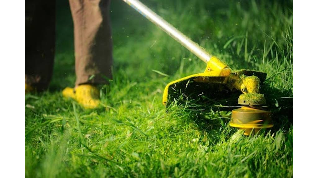 Администрация Стародубского округа попросила арендаторов покосить траву в Десятухе