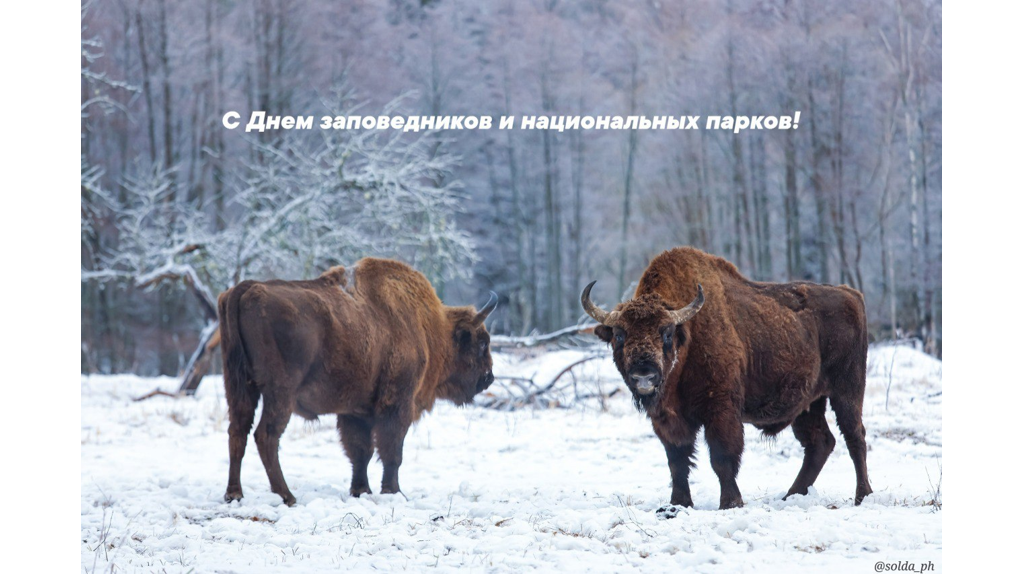 Заповедник «Брянский лес» отмечает свой «профессиональный» праздник