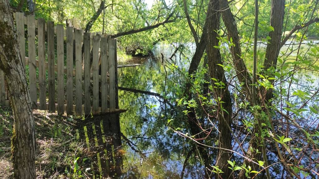 В Выгоничах прокуратура потребовала вернуть государству захваченный берег реки