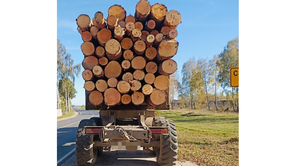 Жителя Красной Горы осудят за контрабанду лесоматериалов
