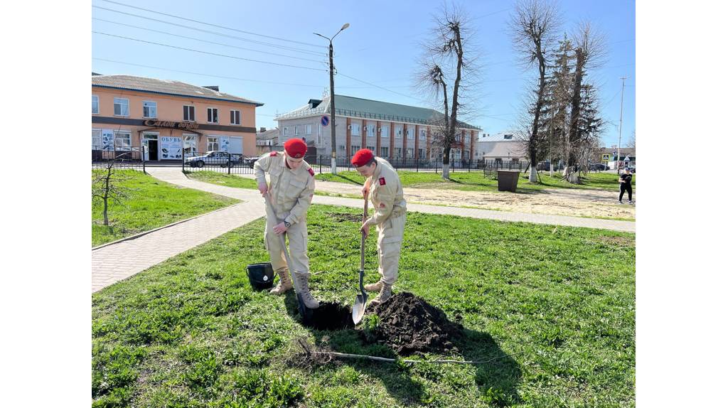 В Погаре высадили деревья в парке