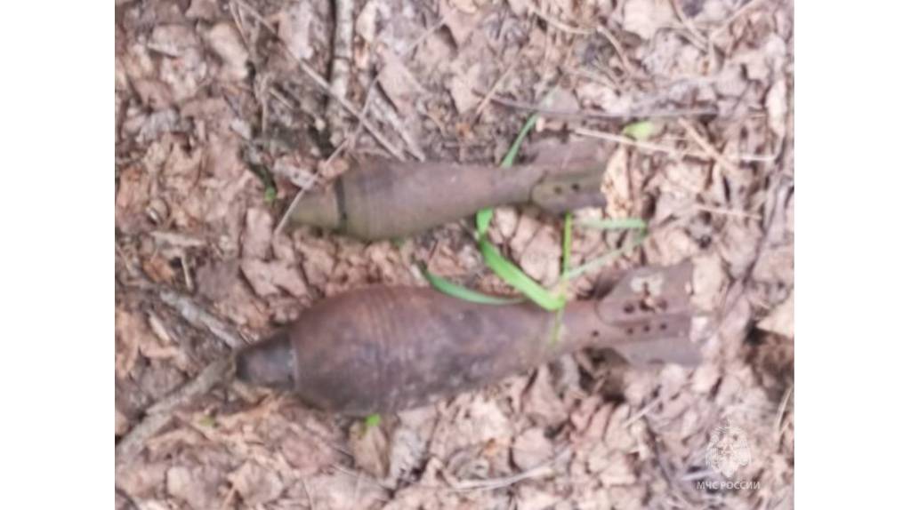 В Навлинском районе нашли две минометные мины