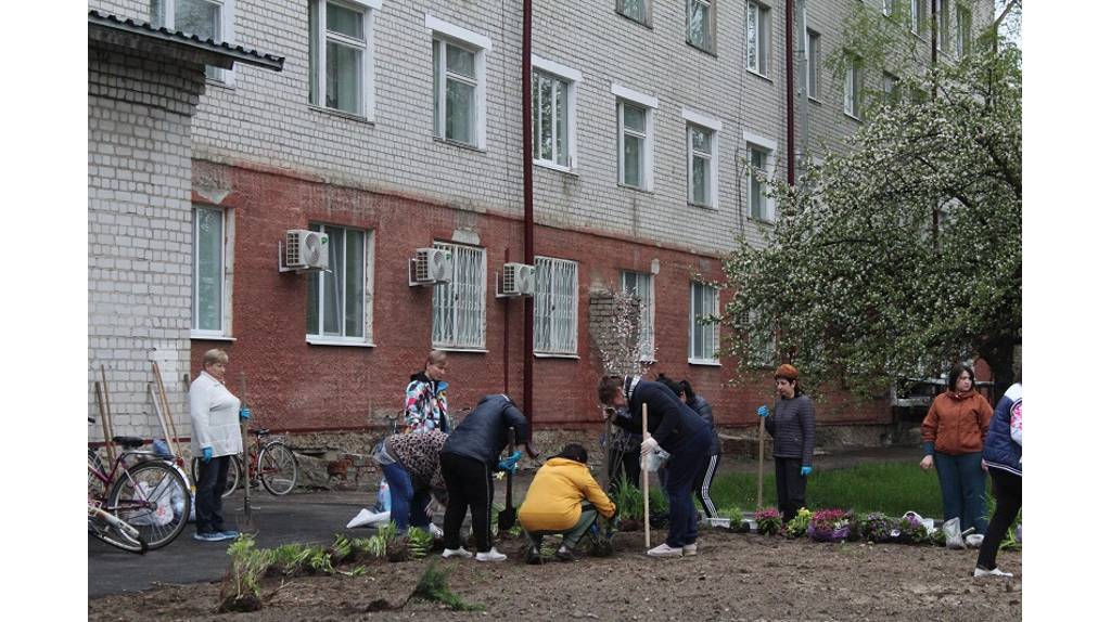 В Жуковке на больничном пустыре разбили «Сад памяти»