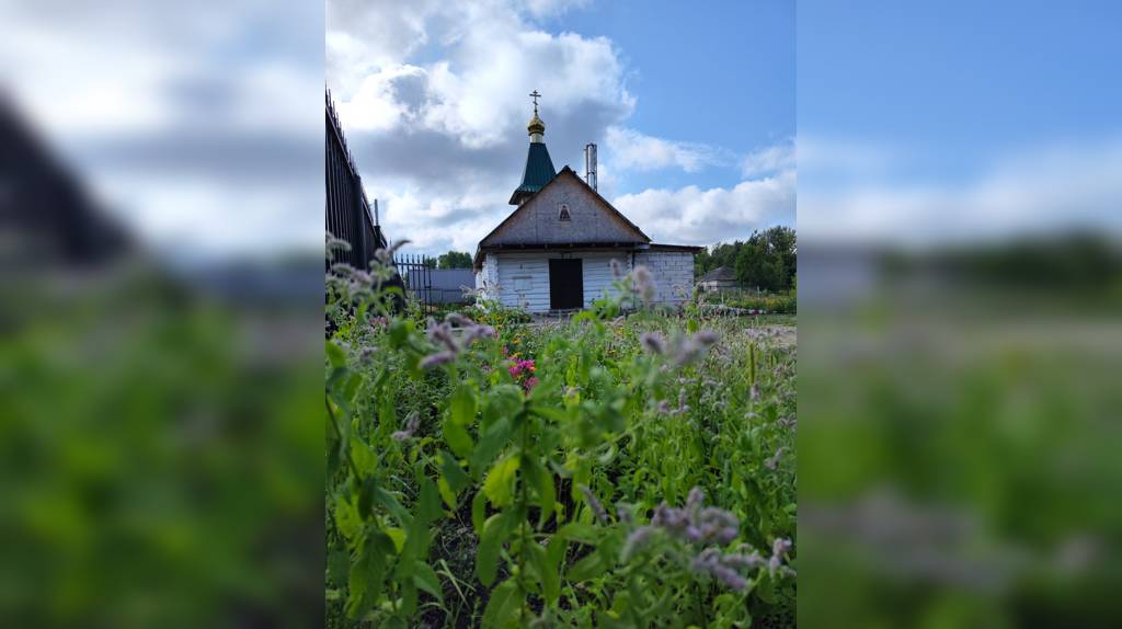  В Ново-Дарковичском храме прошло богослужение в день престольного торжества