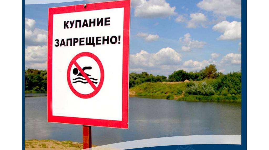 Роспотребнадзор рекомендовал закрыть для купания 15 пляжей в Брянской области