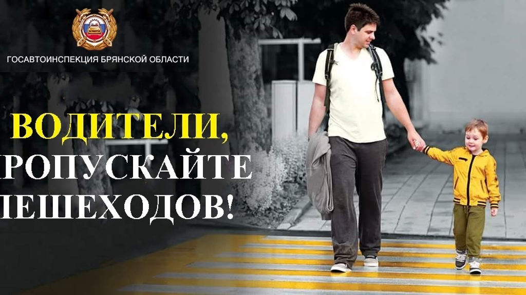 В Брянске проходит операция «Безопасный пешеходный переход»