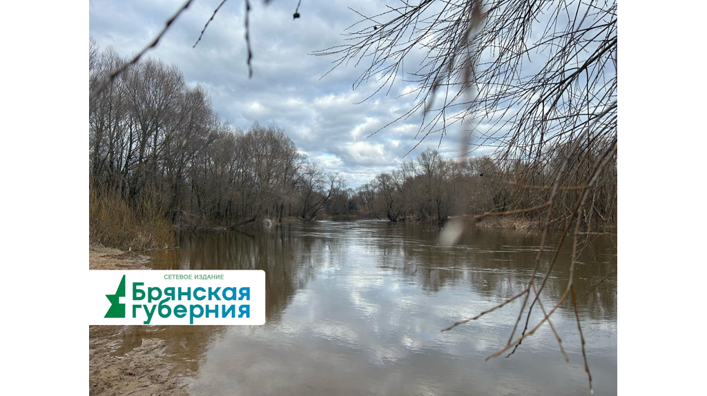 За сутки на Брянщине обошлось без новых затоплений