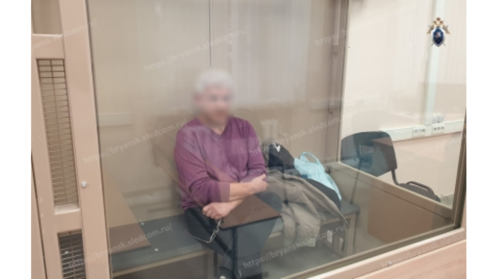 В Брянске суд не выпустил из СИЗО просившегося под домашний арест блогера Маслова