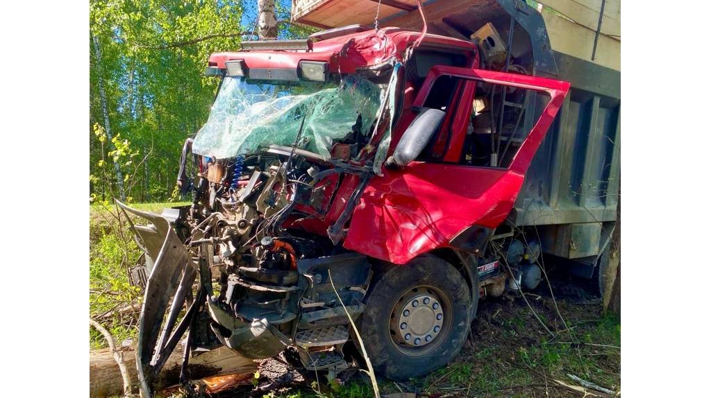 На трассе в Суражском районе 27-летний водитель самосвала врезался в дерево